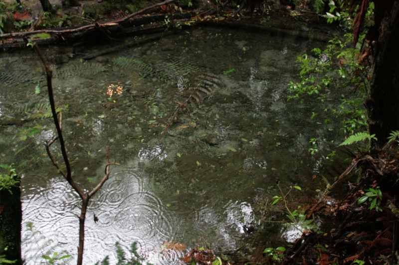 Nieuw-Zeeland 2011 - 0635